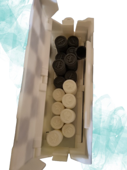 Jeu de dames de voyage